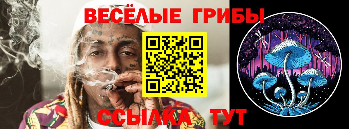 как найти   Галлюциногенные грибы прущие грибы  Вход с VPN  Азов 